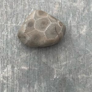 Petoskey stone